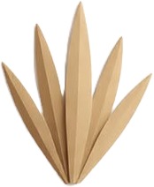 a paper flower with a white background.jpg